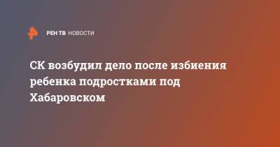 Александр Бастрыкин - СК возбудил дело после избиения ребенка подростками под Хабаровском - ren.tv - Россия - Хабаровский край - Хабаровск