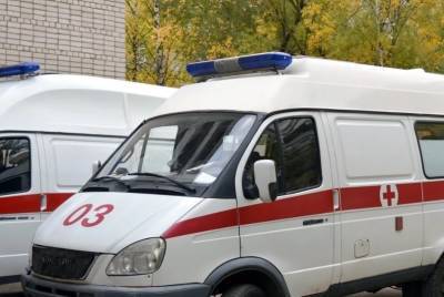 Житель региона погиб под собственным автомобилем - ulpravda.ru - Ульяновская - район Барышский