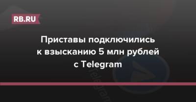 Зульфия Гуринчук - Приставы подключились к взысканию 5 млн рублей с Telegram - rb.ru - Россия