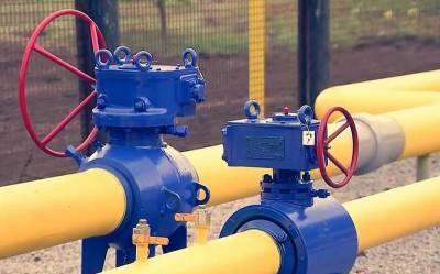 Юлия Тимошенко - Украине предрекли расплату за бездарность в вопросе природного газа - topcor.ru - Украина - Киев