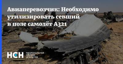 Сергей Скуратов - Авиаперевозчик: Необходимо утилизировать севший в поле самолёт A321 - nsn.fm - Московская обл.
