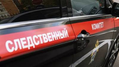СК предъявил обвинение участникам нападения на мужчину с ребёнком в Новой Москве - russian.rt.com - Москва - Россия