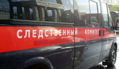 Четырем подозреваемым в нападении на отца с ребенком в Ватутинках предъявили обвинение - bloknot.ru - Москва