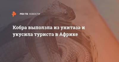Кобра выползла из унитаза и укусила туриста в Африке - ren.tv - Голландия - Юар