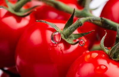Наталья Круглова - Врач рассказала об уникальных свойствах томатов - ont.by - Белоруссия