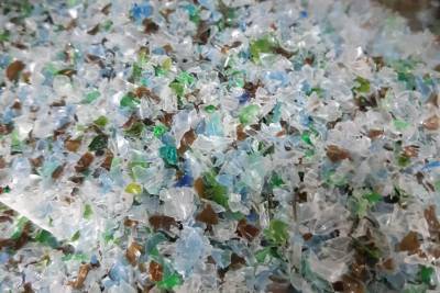 Более 350 тонн стекла и 70 тонн пластика собрали в Ленобласти с начала года - ivbg.ru - Украина - Ленинградская обл.