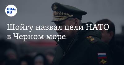 Сергей Шойгу - Шойгу назвал цели НАТО в Черном море - ura.news - Москва - Россия - США