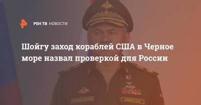 Сергей Шойгу - Шойгу заход кораблей США в Черное море назвал проверкой для России - ren.tv - Москва - Россия - США - Черное Море