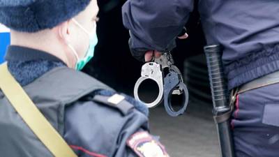 Пятерых участников драки в Домодедово доставили в полицию - iz.ru - Россия - Израиль - Московская обл.