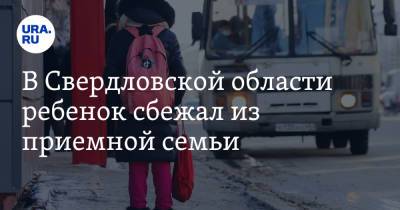 Наталья Крылова - В Свердловской области ребенок сбежал из приемной семьи - ura.news - Свердловская обл. - Североуральск