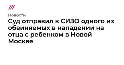 Александр Бастрыкин - Суд отправил в СИЗО одного из обвиняемых в нападении на отца с ребенком в Новой Москве - tvrain.ru - Москва