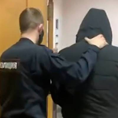 Щербинский суд Москвы арестовал одного из четырех обвиняемых в нападении на отца с ребенком в Новой Москве - radiomayak.ru - Москва