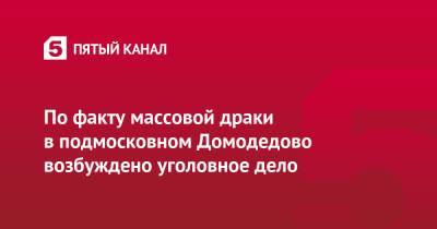 По факту массовой драки в подмосковном Домодедово возбуждено уголовное дело - 5-tv.ru - Москва - Россия - Московская обл.