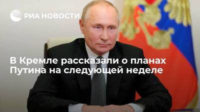 Владимир Путин - Федор Достоевский - Павел Зарубин - Путин на следующей неделе примет участие в саммите АТЭС и конференции Сбербанка - ria.ru - Москва - Россия - Петропавловск-Камчатский