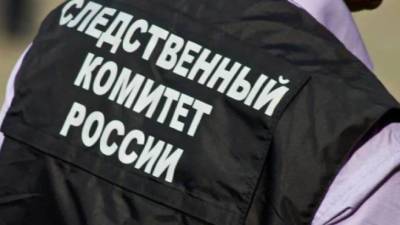 В Ленобласти возбудили уголовное дело по факту мошенничества при долевом строительстве ЖК «Барская усадьба» - ivbg.ru - Украина - Ленинградская обл.