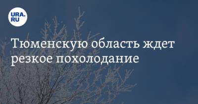 Тюменскую область ждет резкое похолодание - ura.news - Тюменская обл.