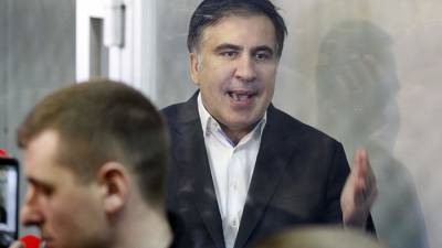 Михаил Саакашвили - Бидзина Иванишвили - Бек Басилая - Защита Саакашвили сообщила о намерении довести его дело до ЕСПЧ - iz.ru - Израиль - Грузия
