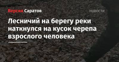 Лесничий на берегу реки наткнулся на кусок черепа взрослого человека - nversia.ru - Саратовская обл.