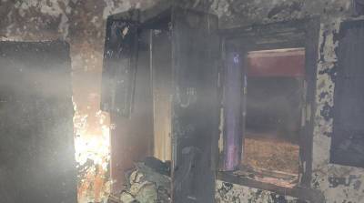 Три человека погибли при пожарах в Гомельской области - belta.by - Белоруссия - Минск - Гомель - Добруш