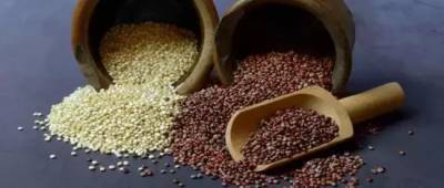 Врач назвал продукты для профилактики тромбоза - w-n.com.ua