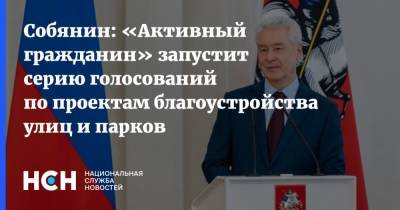 Сергей Собянин - Собянин: «Активный гражданин» запустит серию голосований по проектам благоустройства улиц и парков - nsn.fm - Москва
