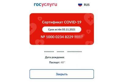 Из-за сбоя на портале «Госуслуги» многие россияне остались без QR-кодов - abnews.ru - city My