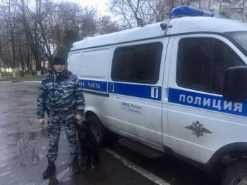 Служебная собака вернула пенсионеру из Череповца похищенный телефон - vologda-poisk.ru - Череповец