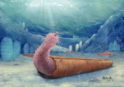 В древних морях обитали свирепые черви-пенисы - techno.bigmir.net
