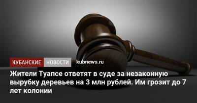 Жители Туапсе ответят в суде за незаконную вырубку деревьев на 3 млн рублей. Им грозит до 7 лет колонии - kubnews.ru - Краснодарский край - Новороссийск - район Туапсинский - Туапсе