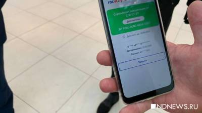 «QR-коды о вакцинации восстанавливаются»: Минцифры прокомментировало сбой на портале госуслуг - newdaynews.ru - Россия