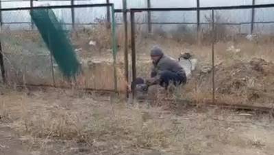 В Челябинске возбуждено уголовное дело после сноса стоянки известным застройщиком - znak.com - Челябинск