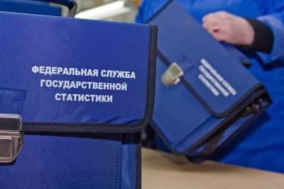 Забайкалье не выполняет план по переписи населения - chita.ru