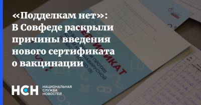 Владимир Круглый - «Подделкам нет»: В Совфеде раскрыли причины введения нового сертификата о вакцинации - nsn.fm - Россия