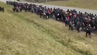 Петр Вавжик - В Белоруссии заявили о движении сотен беженцев к границе с Польшей - iz.ru - Израиль - Белоруссия - Польша