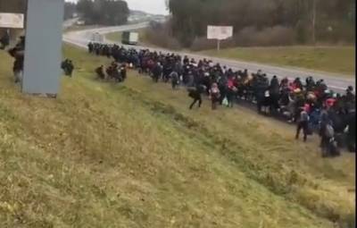 Станислав Жарын - На польско-белорусской границе сняли на видео огромную толпу беженцев - znak.com - Белоруссия - Польша - Варшава