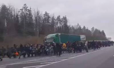 На белорусско-польской границе толпа мигрантов забросала пограничников камнями и бутылками - og.ru - Белоруссия - Польша