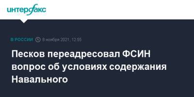 Алексей Навальный - Дмитрий Песков - Песков переадресовал ФСИН вопрос об условиях содержания Навального - interfax.ru - Москва - Германия - Владимирская обл.