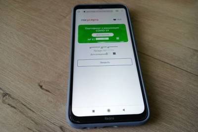 Прорваться в ТЦ без qr-кода — испытано журналистом «Чита.Ру» - chita.ru - Чита