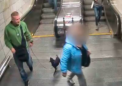 У заснувшего пассажира пражского метро украли собаку: видео - vinegret.cz - Чехия - Прага
