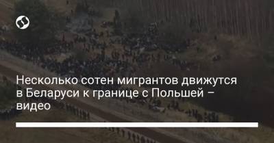 Несколько сотен мигрантов движутся в Беларуси к границе с Польшей – видео - liga.net - Украина - Белоруссия - Польша