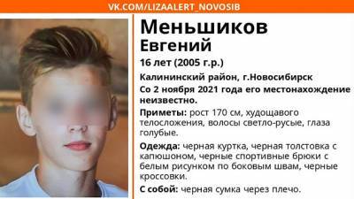 В Новосибирске ищут 16-летнего парня, который не вернулся из школы - runews24.ru - Новосибирск