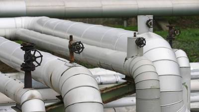 Анна Бодрова - Аналитик допустила повышение цен на газ в Европе - russian.rt.com
