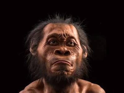 Кости детеныша Homo naledi нашли в южноафриканской пещере - polit.ru - Юар