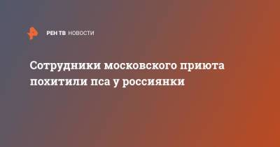 Сотрудники московского приюта похитили пса у россиянки - ren.tv - Москва