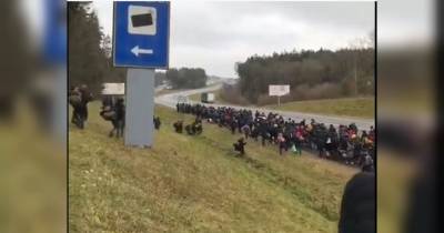 Польща приводить військових у боєготовність через ситуацію з мігрантами на кордоні з Білоруссю - fakty.ua - Украина - Польща