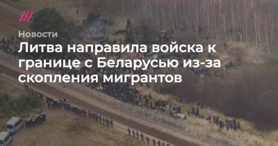 Агне Билотайте - Литва направила войска к границе с Беларусью из-за скопления мигрантов - tvrain.ru - Белоруссия - Польша - Литва