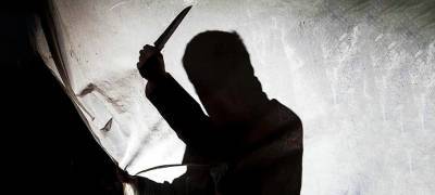 В Карелии 19-летний рецидивист отправится в колонию на 11, 5 лет за жесткое убийство - stolicaonego.ru - район Лоухский - республика Карелия