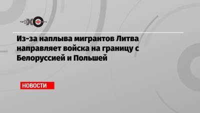 Из-за наплыва мигрантов Литва направляет войска на границу с Белоруссией и Польшей - echo.msk.ru - Сирия - Белоруссия - Ирак - Польша - Литва - Вильнюс - Минск