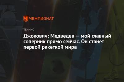 Джокович Новак - Даниил Медведев - Джокович: Медведев — мой главный соперник прямо сейчас. Он станет первой ракеткой мира - championat.com - Россия - Сербия