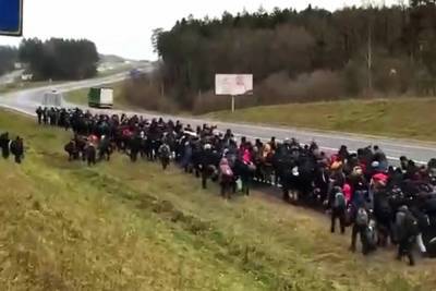 В Польше заявили о попытках штурма границы толпой мигрантов - mk.ru - Белоруссия - Польша